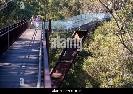 Perth Australien 18. März 2024 dieses Foto zeigt einen modernen architektonischen Fußweg durch eine üppige Waldlandschaft. Stockfoto