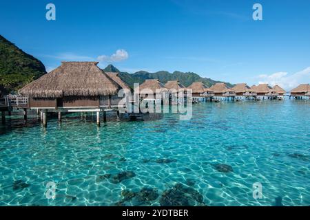 Moorea Lagune Landschaft mit Overwater Bungalows, Französisch-Polynesien. Stockfoto