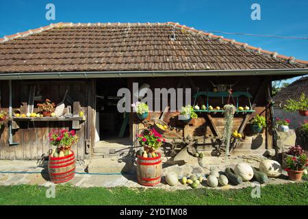 Farbenfrohe Ausstellung von Werkzeugen, die typisch für die serbische Bauernkultur sind, in der Arbeit und im täglichen Leben, dekoriert mit Blumentöpfen und vielen Arten von Kürbis in der Stockfoto
