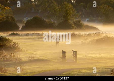 Das Bild vom 27. Oktober zeigt Menschen am Fluss Cam in Cambridge an einem ruhigen und nebeligen Sonntagmorgen bei Sonnenaufgang. Die Prognose des Met Office für tod Stockfoto