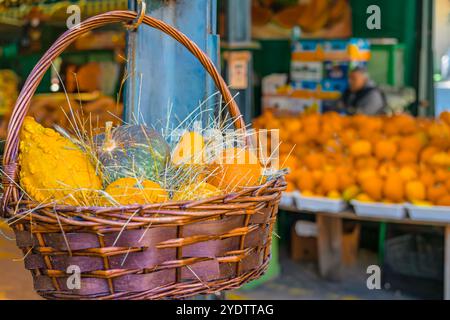 Farbenfroher Korb mit Kürbissen auf einem lokalen Markt im Herbst, mit Kürbissen im Hintergrund Stockfoto