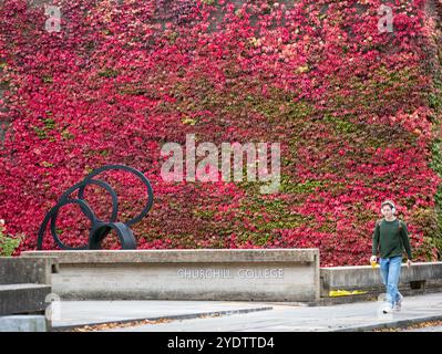 Das Bild vom 21. Oktober zeigt eine der größten britischen Mauern von Boston Evy am Churchill College der Cambridge University, die sich in einem roten Glanz verwandelt hat. Stockfoto