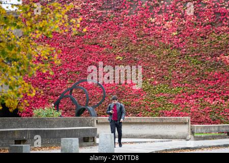 Das Bild vom 21. Oktober zeigt eine der größten britischen Mauern von Boston Evy am Churchill College der Cambridge University, die sich in einem roten Glanz verwandelt hat. Stockfoto