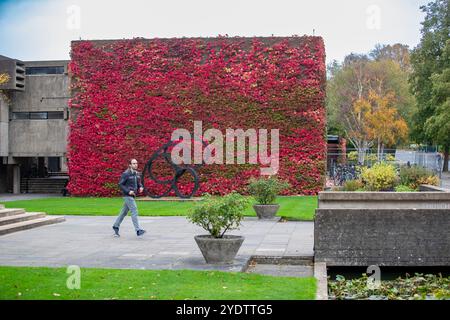 Das Bild vom 21. Oktober zeigt eine der größten britischen Mauern von Boston Evy am Churchill College der Cambridge University, die sich in einem roten Glanz verwandelt hat. Stockfoto