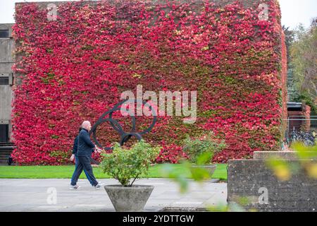 Das Bild vom 21. Oktober zeigt eine der größten britischen Mauern von Boston Evy am Churchill College der Cambridge University, die sich in einem roten Glanz verwandelt hat. Stockfoto