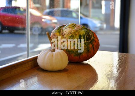 Kürbisse in einem Café an Halloween, Stockfoto