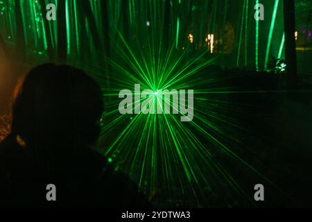 Grünes Licht in einem Bambusgarten mit vielen Menschen, die von den Lichtern fasziniert sind Stockfoto