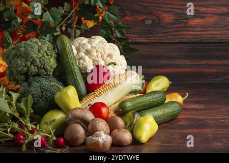 Frisches Gemüse, bunte Paprika, Mais auf Maiskolben, Blumenkohl, Brokkoli, Radieschen, Gurken und Pilze Stockfoto