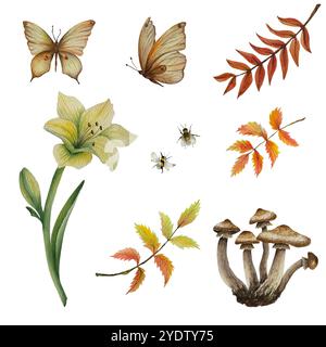 Satz Honigpilze, Schmetterling, Herbstblätter, Blume, eberesche und Biene auf weißem Hintergrund. Aquarellabbildung. Kann in Postkarten, Textilien, t Stockfoto