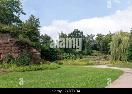 Stuttgart Baden Württemberg Deutschland 13. September 2024 Höhenpark Killesberg, Killesbergpark Rote Klippen und Teich. Gärten, garten, Stadt, Hohenpark, Hufenpark, park, Rote, felsen, Stockfoto