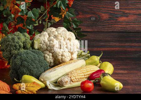 Frisches Gemüse, bunte Paprika, Mais auf Maiskolben, Blumenkohl und Brokkoli Stockfoto