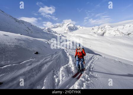 Skitouren in einer schneebedeckten Berglandschaft, Berggipfel Monte Cevedale und Gletscher Zufallferner, Aufstieg zum Gipfel Koellkuppe oder Cima Marmo Stockfoto