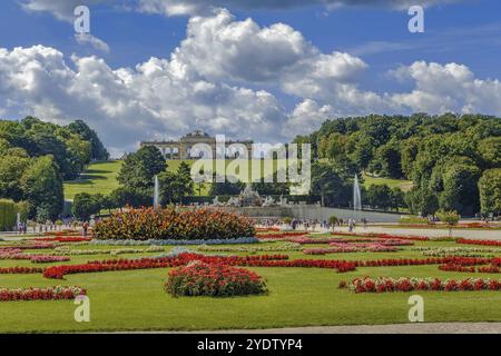 Blick auf Gloriette vom Garten in Schönbrunn, Wien Stockfoto