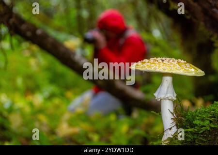 Ein Gast der Lindblad Expeditions schickt National Geographic Sea Bird hinter einem Pilz- oder Fliegenpilz im Südosten Alaskas, USA Stockfoto