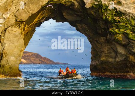 Eine Tour durch das Sternzeichen bei Sonnenaufgang auf der Boatswain Bird Island direkt vor der Ascension Island im südlichen tropischen Atlantik, Südatlantik Stockfoto