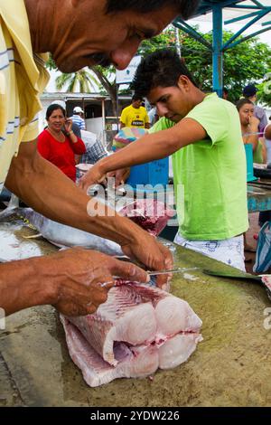 Schauplatz des Fischmarktes in der Hafenstadt Puerto Ayora, Santa Cruz Island, Galapagos Inseln, UNESCO-Weltkulturerbe, Ecuador, Südamerika Stockfoto