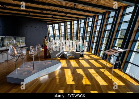 Eiskristalle, Wissenschaftszentrum, Ilulissat-Eisfjord, UNESCO-Weltkulturerbe, Westgrönland, Dänemark, Polarregionen Stockfoto