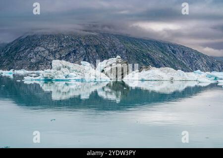 Schwimmende Eisberge im Nuuk-Eisefjord, Westgrönland, Dänemark, Polarregionen Stockfoto