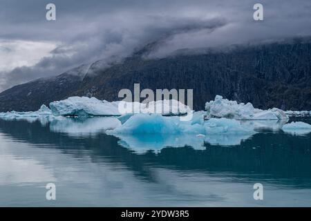 Schwimmende Eisberge im Nuuk-Eisefjord, Westgrönland, Dänemark, Polarregionen Stockfoto