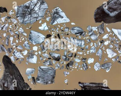 Eine Vogelbeobachtung von Svinafellsjokull Gletscherfragmenten in einer Lagune im Süden Islands, Polarregionen Stockfoto