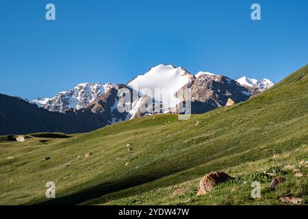 Schneebedeckte Gipfel erheben sich über grüne Täler im wunderschönen Kirgisistan, Zentralasien und Asien Stockfoto