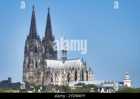 Blick von Deutz über den Rhein auf den imposanten gotischen Dom in der Kölner Altstadt an einem sonnigen Tag Stockfoto