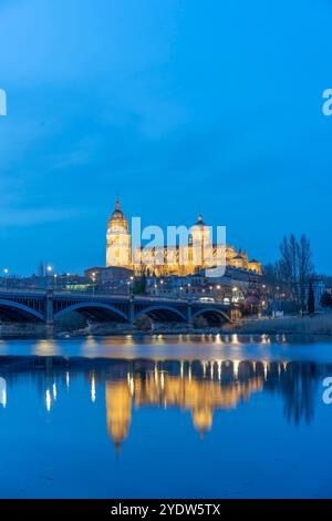 Fluss Tormes, neue Kathedrale von Salamanca (Catedral de la Asuncion de la Virgen), UNESCO-Weltkulturerbe, Salamanca, Kastilien und Leon, Spanien Stockfoto