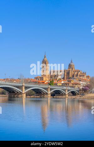 Fluss Tormes, neue Kathedrale von Salamanca (Catedral de la Asuncion de la Virgen), UNESCO-Weltkulturerbe, Salamanca, Kastilien und Leon, Spanien Stockfoto