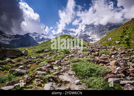 Bergbach, Felsen und Wiesen, Monte Rosa, Dufourspitze, italienische Alpen, Italien, Europa Stockfoto