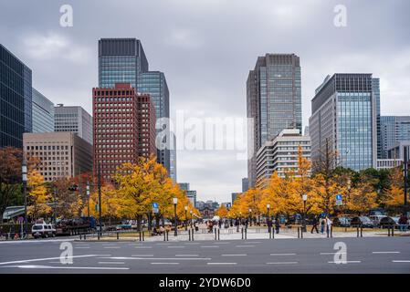 Herbstliche Blätter und Wolkenkratzer im Zentrum von Tokio, Honshu, Japan, Asien Stockfoto