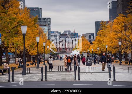 Hauptbahnhof Tokio, Laternen und gelbe Ginkgobäume und herbstliche Blätter und Wolkenkratzer im Zentrum von Tokio, Honshu, Japan und Asien Stockfoto