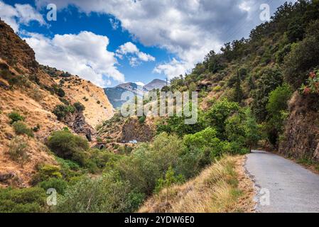 Wanderweg entlang des zerklüfteten, trockenen Bergtals der Sierra Nevada, Andalusien, Spanien, Europa Stockfoto