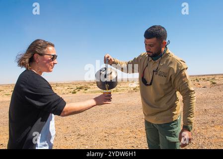 Ein Reiseleiter serviert eine Aufspeisung von Artemisia, die im Shaumeri Wildlife Reserve, Jordanien, Naher Osten geerntet wurde Stockfoto