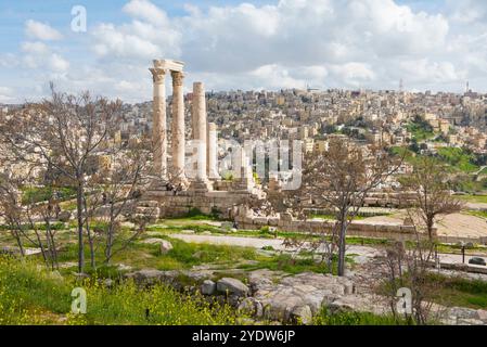 Der Herkules-Tempel in der Zitadelle von Amman (Jabal al-Qal'a), historische Stätte auf einem Hügel im Herzen von Amman, Jordanien, Naher Osten Stockfoto