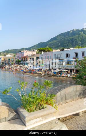 Blick auf Strand und Stadt Lacco Ameno, Insel Ischia, Kampanien, Italien, Europa Stockfoto