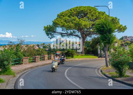 Blick auf Castello Aragonese d'Ischia von Porto d'Ischia (Hafen von Ischia), Insel Ischia, Kampanien, Italien, Europa Stockfoto