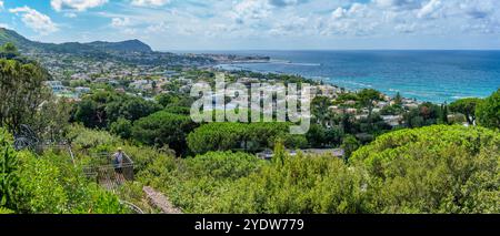 Blick auf die tropische Flora in den botanischen Gärten Giardini la Mortella und Forio im Hintergrund, Forio, Insel Ischia, Kampanien, Italien, Europa Stockfoto