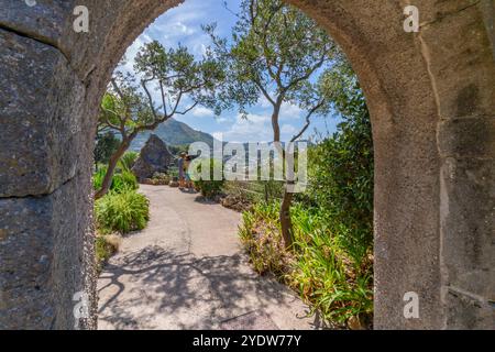 Blick auf Bogen und tropische Flora im Botanischen Garten Giardini la Mortella, Forio, Insel Ischia, Kampanien, Italien, Europa Stockfoto