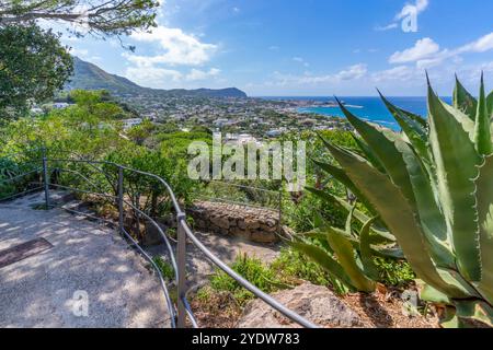 Blick auf die tropische Flora in den botanischen Gärten Giardini la Mortella und Forio im Hintergrund, Forio, Insel Ischia, Kampanien, Italien, Europa Stockfoto