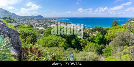 Blick auf die tropische Flora in den botanischen Gärten Giardini la Mortella und Forio im Hintergrund, Forio, Insel Ischia, Kampanien, Italien, Europa Stockfoto