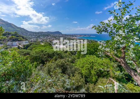 Blick auf die tropische Flora in den botanischen Gärten Giardini la Mortella und Forio im Hintergrund, Forio, Insel Ischia, Kampanien, Italien, Europa Stockfoto