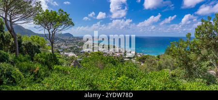 Blick auf die tropische Flora in den botanischen Gärten Giardini la Mortella und Forio im Hintergrund, Forio, Insel Ischia, Kampanien, Italien, Europa Stockfoto