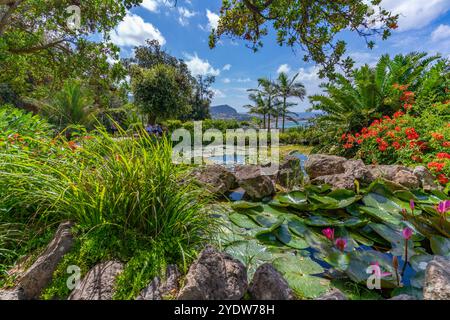 Blick auf die tropische Flora in den botanischen Gärten Giardini la Mortella, Forio, Insel Ischia, Kampanien, Italien, Europa Stockfoto