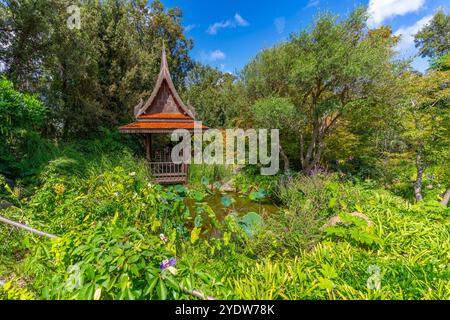 Blick auf Sala Thai in tropischer Flora in den botanischen Gärten Giardini la Mortella, Forio, Insel Ischia, Kampanien, Italien, Europa Stockfoto