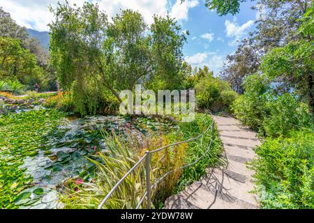 Blick auf die tropische Flora in den botanischen Gärten Giardini la Mortella, Forio, Insel Ischia, Kampanien, Italien, Europa Stockfoto