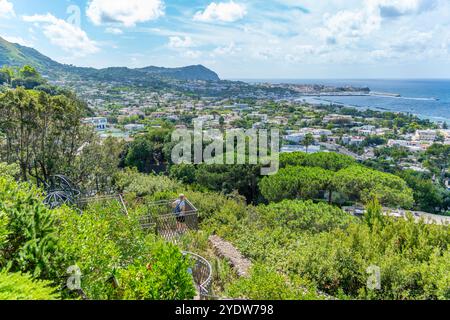 Blick auf die tropische Flora in den botanischen Gärten Giardini la Mortella und Forio im Hintergrund, Forio, Insel Ischia, Kampanien, Italien, Europa Stockfoto