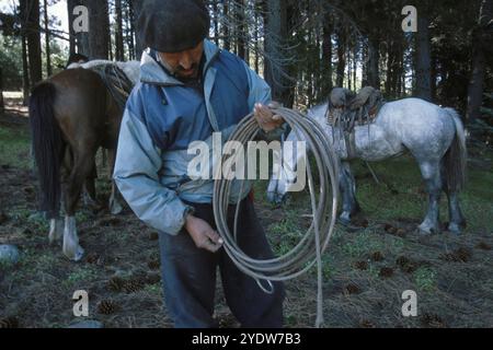 Gauchos in Patagonien, Argentinien Stockfoto