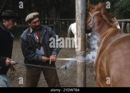Gauchos in Patagonien, Argentinien Stockfoto