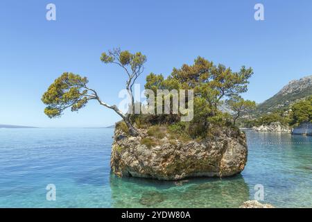 Stone Brela (Kamen Brela) in der Nähe des Strandes Punta rata entlang der Adria in Brela, Kroatien, Europa Stockfoto