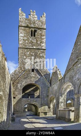 Ross Errilly Friary ist ein mittelalterliches Franziskanerkloster, das etwa eine Meile nordwestlich von Headford im County Galway, Irland, Europa, liegt Stockfoto